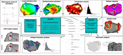 OpenEP: A Cross-Platform Electroanatomic Mapping Data Format and Analysis Platform for Electrophysiology Research